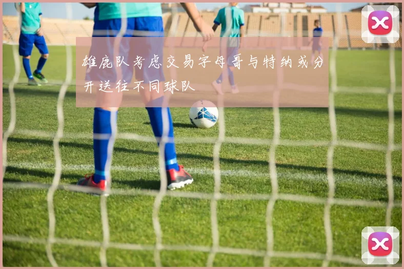 雄鹿队考虑交易字母哥与特纳或分开送往不同球队