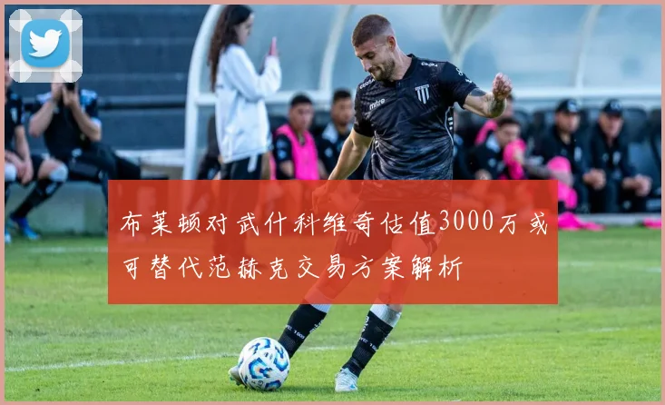 布莱顿对武什科维奇估值3000万或可替代范赫克交易方案解析
