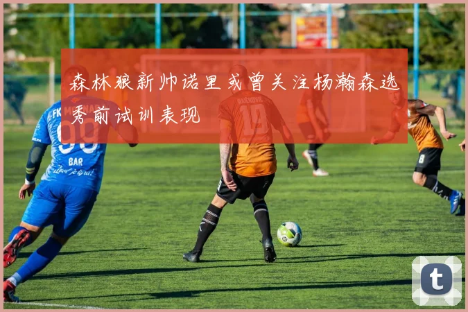 森林狼新帅诺里或曾关注杨瀚森选秀前试训表现